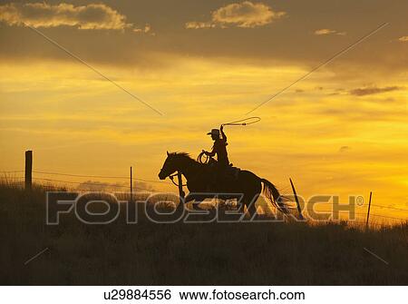 Horseback rider View Large Photo Image Stock Photograph - Horseback rider. Fotosearch