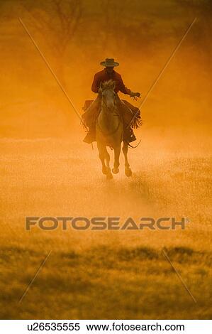 Stock Photography - Horseback rider. Fotosearch