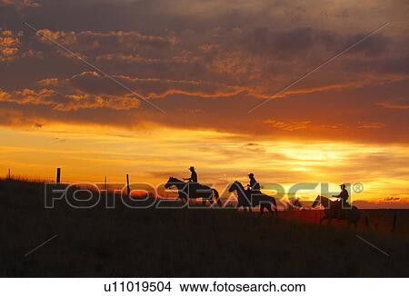 Horseback riders at sunset View Large Photo Image Picture - Horseback riders at sunset. Fotosearch