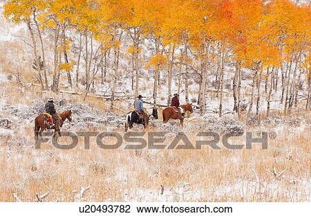 Horseback riders View Large Photo Image Stock Image - Horseback riders. Fotosearch