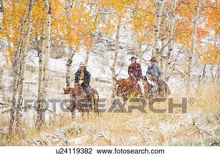 Horseback riders View Large Photo Image Stock Image - Horseback riders. Fotosearch