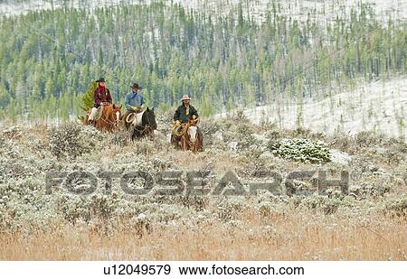 Horseback riders View Large Photo Image Stock Photo - Horseback riders. Fotosearch