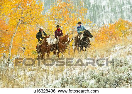 Horseback riders View Large Photo Image Stock Photograph - Horseback riders. Fotosearch
