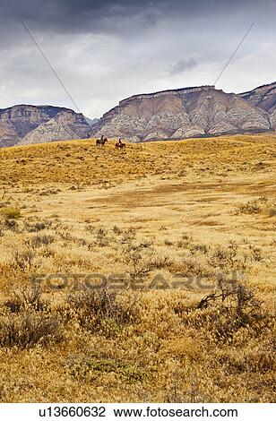 Horseback riding View Large Photo Image Stock Image - Horseback riding. Fotosearch