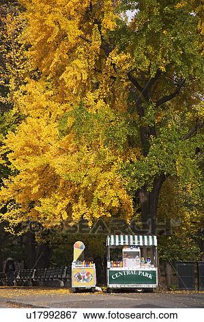 Stock Photo - Hot dog vendor. Fotosearch