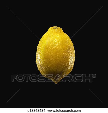 Picture - Lemon. Fotosearch