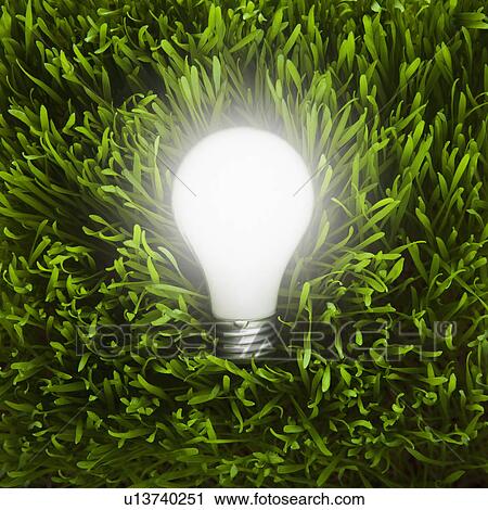 Stock Image - Light bulb in grass. Fotosearch