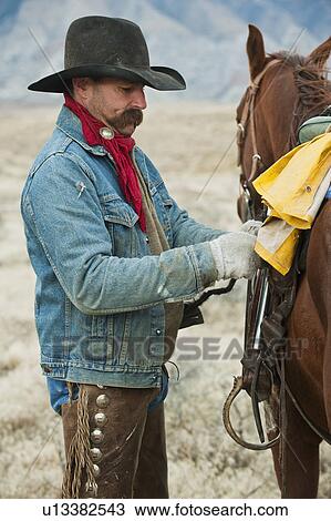 Man adjusting saddle on horse View Large Photo Image Stock Image - Man adjusting saddle on horse. Fotosearch
