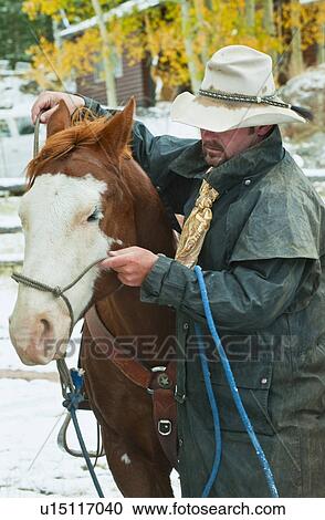 Man putting bridle on horse View Large Photo Image Stock Image - Man putting bridle on horse. Fotosearch