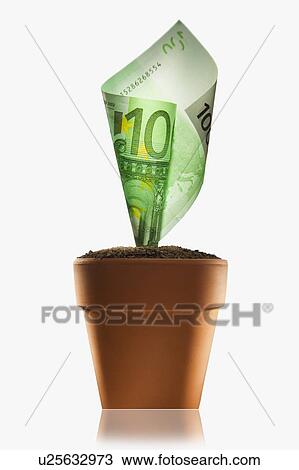 Money Plant View Large Photo Image Stock Image - Money Plant. Fotosearch