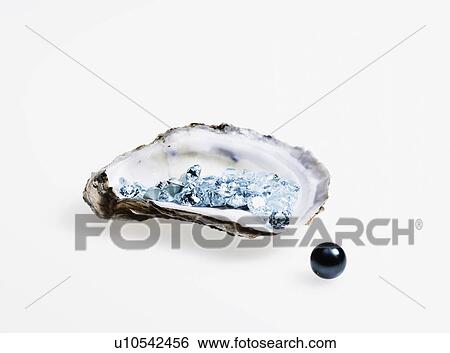 Stock Photograph - Oyster and black pearl. Fotosearch