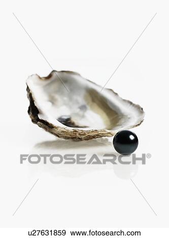Stock Photo - Oyster and pearl. Fotosearch
