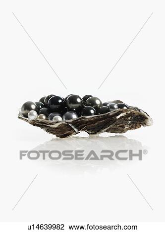 Oyster full of pearls View Large Photo Image Stock Image - Oyster full of pearls. Fotosearch