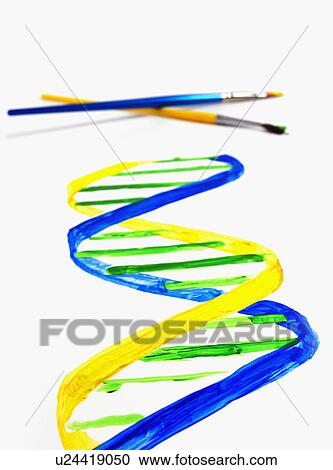 Paint brushes View Large Photo Image Stock Image - Paint brushes. Fotosearch