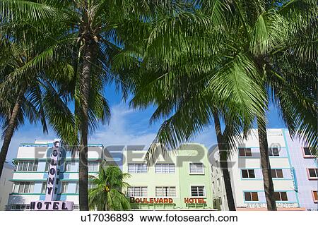 Palm trees and art deco buildings View Large Photo Image Stock Image - Palm trees and art deco buildings. Fotosearch