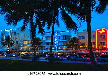 Palm trees and street at night View Large Photo Image Stock Photography - Palm trees and street at night. Fotosearch