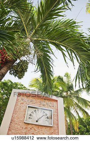 Palm trees and thermometer View Large Photo Image Stock Image - Palm trees and thermometer. Fotosearch