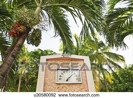Stock Image - Palm trees and thermometer. Fotosearch
