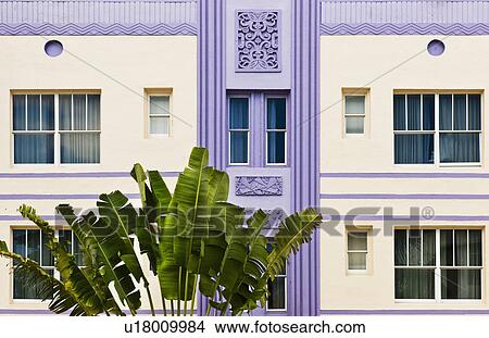 Plant and exterior of building View Large Photo Image Picture - Plant and exterior of building. Fotosearch