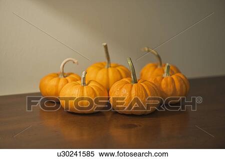 Small pumpkins View Large Photo Image Stock Photography - Small pumpkins. Fotosearch