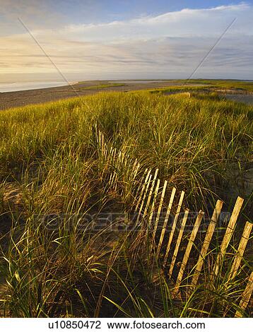 Stock Image - Snow fence in field. Fotosearch