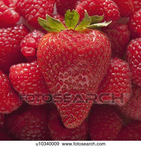 Stock Photo - Strawberry on top of pile of raspberries. Fotosearch