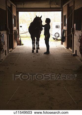 Woman grooming horse View Large Photo Image Stock Image - Woman grooming horse. Fotosearch