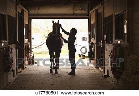 Woman grooming horse View Large Photo Image Stock Image - Woman grooming horse. Fotosearch