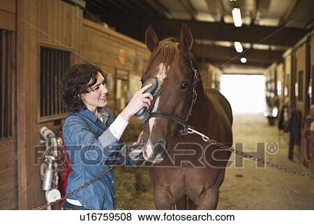 Stock Photo - Woman grooming horse. Fotosearch