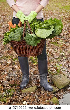 Stock Image - Woman holding basket of vegetables. Fotosearch