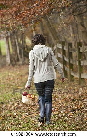 Woman walking with basket of apples View Large Photo Image Picture - Woman walking with basket of apples. Fotosearch