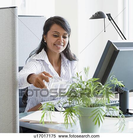 Woman watering plant View Large Photo Image Stock Photography - Woman watering plant. Fotosearch