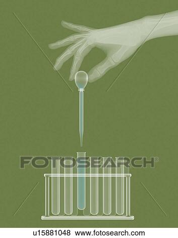 X-ray of test tubes View Large Photo Image Stock Photo - X-ray of test tubes. Fotosearch