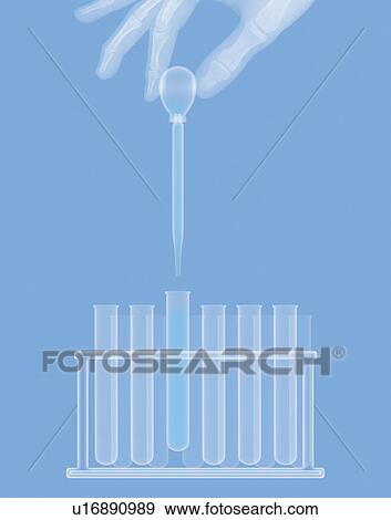 X-ray of test tubes View Large Photo Image Stock Photo - X-ray of test tubes. Fotosearch