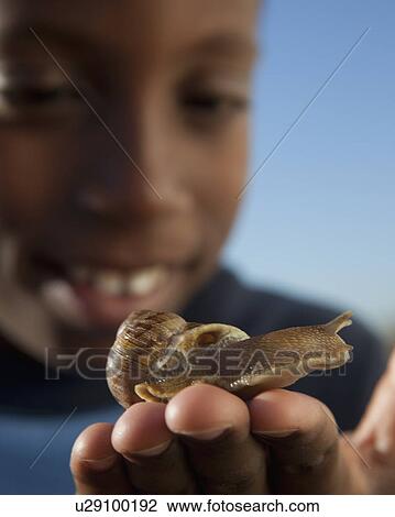 Young boy holding snail View Large Photo Image Stock Image - Young boy holding snail. Fotosearch