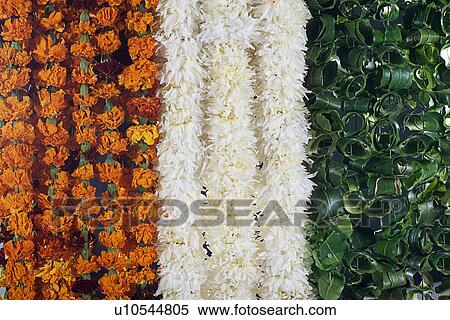 Different coloured flowers View Large Photo Image Stock Photography - Different coloured flowers. Fotosearch