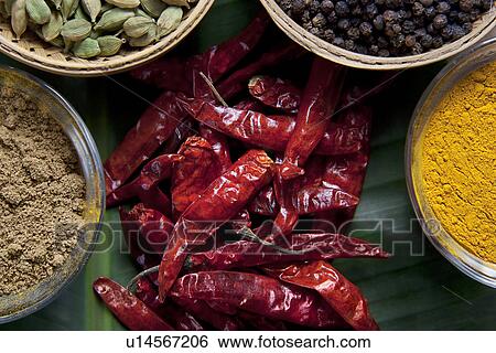 High angle view of spices View Large Photo Image Stock Photograph - High angle view of spices. Fotosearch