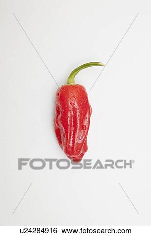 a red jalapeno pepper that looks hot with steam View Large Photo Image Stock Photograph - a red jalapeno pepper that looks hot with steam. Fotosearch