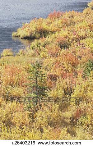 Stock Photograph - Autumn at Vermilion Lakes, Banff National Park, Alberta, Canada. Fotosearch
