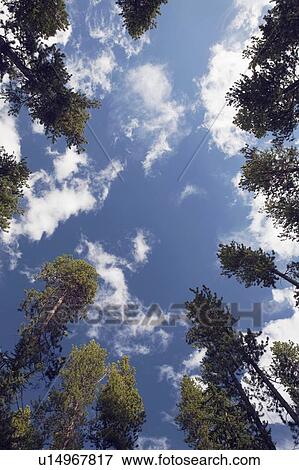 Stock Photo - banff national park, alberta, canada. Fotosearch