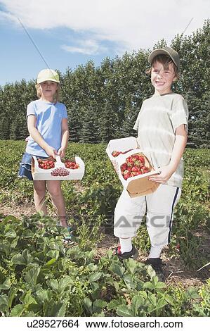 Boy and girl holding baskets of strawberries View Large Photo Image Picture - Boy and girl holding baskets of strawberries. Fotosearch