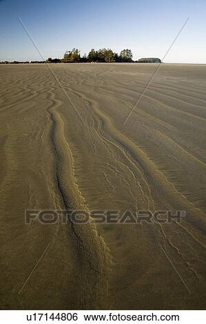 Stock Photograph - chesterman beach, tofino, canada. Fotosearch