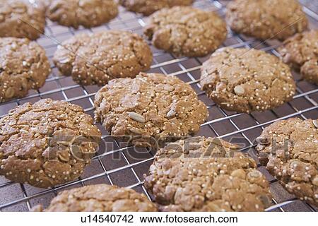 Stock Image - cookies on a cooling rack. Fotosearch