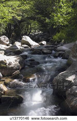 Creek water flowing over rocks, Corsica, France View Large Photo Image Stock Photograph - Creek water flowing over rocks, Corsica, France. Fotosearch