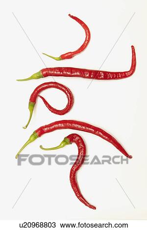 five red jalapeno peppers that have curled into unique shapes View Large Photo Image Stock Image - five red jalapeno peppers that have curled into unique shapes. Fotosearch