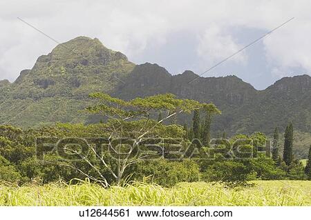 Stock Image - Green mountain. Fotosearch