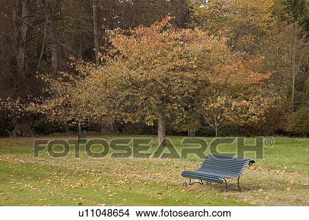 Picture - kelso, scottish borders, scotland; bench in the park in autumn. Fotosearch