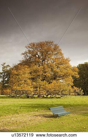 kelso, scottish borders, scotland; bench in the park in autumn View Large Photo Image Stock Photo - kelso, scottish borders, scotland; bench in the park in autumn. Fotosearch