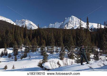 Man on snowshoes in snow covered meadow View Large Photo Image Stock Image - Man on snowshoes in snow covered meadow. Fotosearch