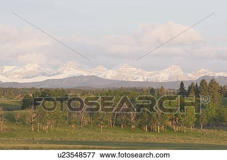 Mountains near Calgary, Alberta, Canada View Large Photo Image Stock Photo - Mountains near Calgary, Alberta, Canada. Fotosearch